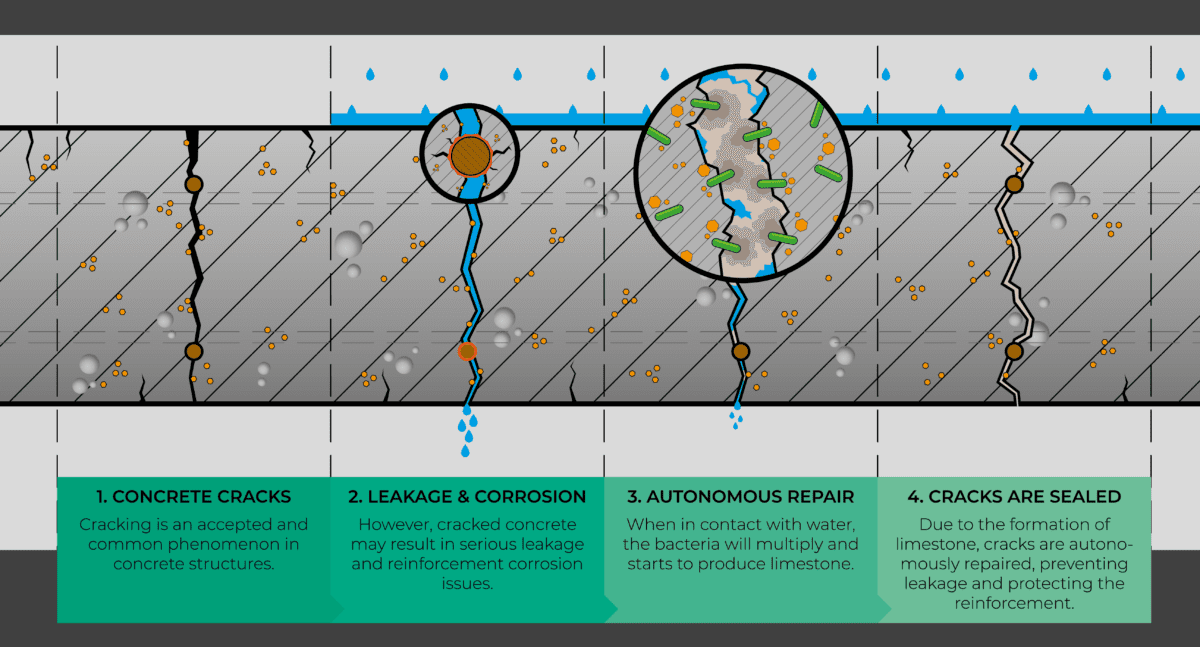 Infographic-Self-Healing-Concrete-2020-1200×647